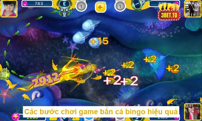 ban ca bingo 68b08dafd2cf2