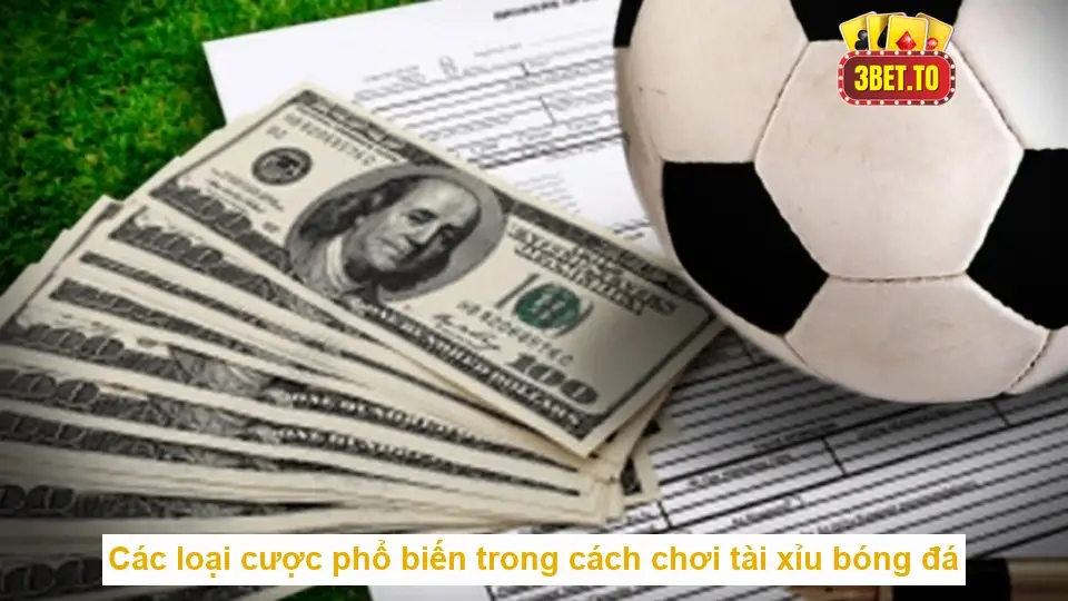 Cách chơi tài xỉu bóng đá một cách tự tin và thông minh nhất 4 Các loại cược phổ biến trong cách chơi tài xỉu bóng đá
