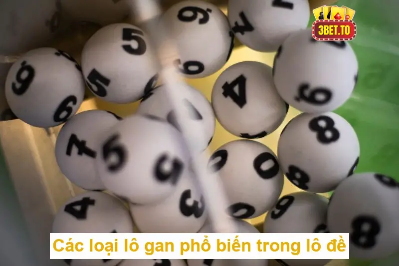 Các loại lô gan phổ biến trong lô đề