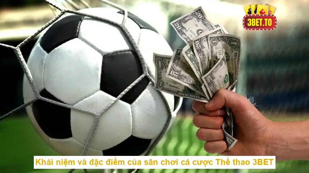 Thể thao 3BET - Sân chơi cá cược thể thao uy tín xanh chín 2 Khái niệm và đặc điểm của sân chơi cá cược Thể thao 3BET
