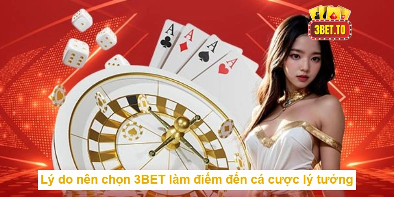 Trang chủ 15 Lý do nên chọn 3BET làm điểm đến cá cược lý tưởng